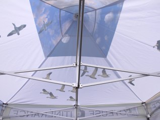 2018. Vidéos. Joyeuse&nbsp;itinérance