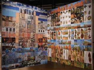 2014-2017. Vivacité territoriale