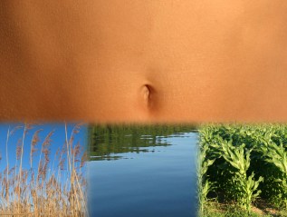 2003. Vidéo De&nbsp;passage