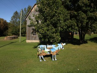 2022. Oh la vache! à&nbsp;Saint-Bruno