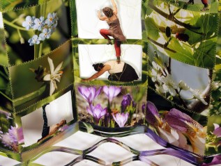 2019. Évolution à double&nbsp;entente.