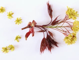 2023. La parade du&nbsp;printemps